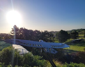 Balanced Bird Kinetic Sculpture