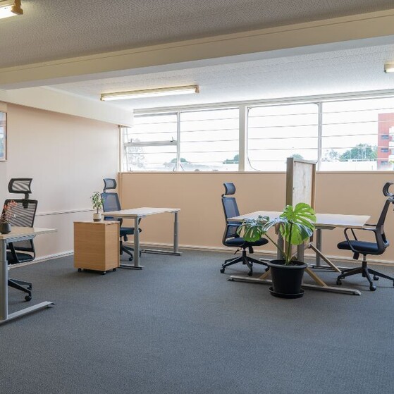 coworking space waikato