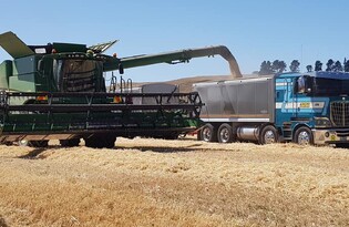 international 9800, combine harvestor