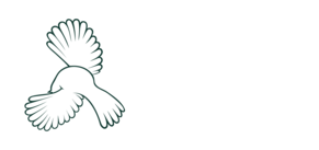 Visiting someone in hospital is the sweetest thing you can do