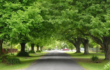 Hall Street in summer