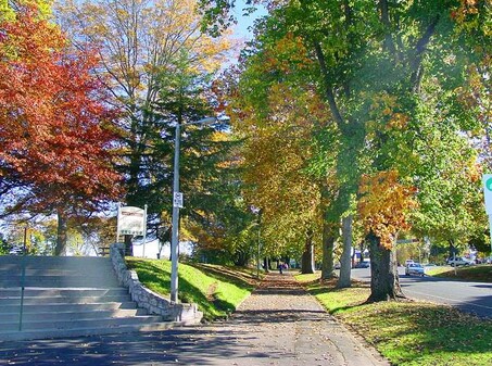 Victoria Square on the left, Victoria Street on the right, looking north, in Autumn.