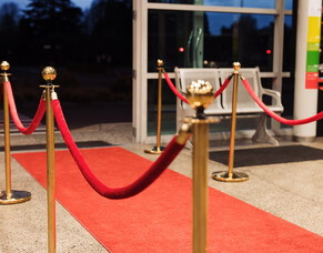 Wild Apricot Takes Flight with a Glamorous Airline Gala in Rotorua