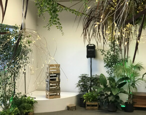 Natural NZ cocktail function