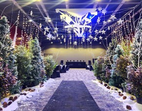 John Paul College Ball - Starry Night