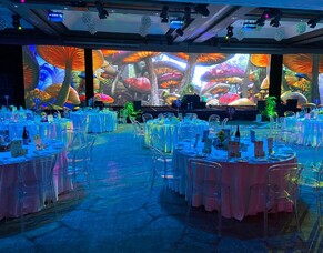 New Zealand Home Loans &ndash; Alice in Wonderland Gala Dinner