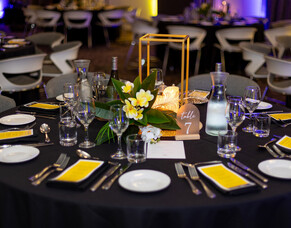 Wild Apricot and Showponi Bring Tropical Glamour to the MTF Finance Awards