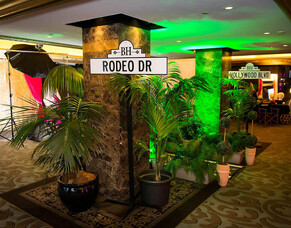 Hollywood Bollywood Diversity Ball &ndash; Auckland