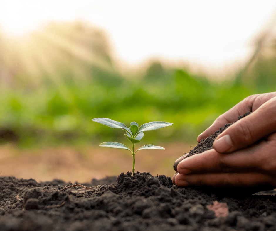 Choosing the right plants for your soil type | Growing Great Gardens