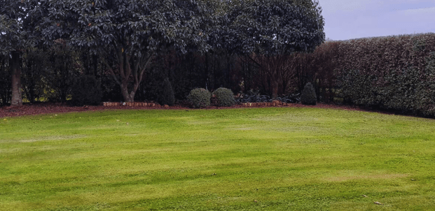 Lawn care - Edging, mowing and green waste removal