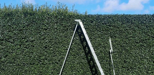 Hedge trimming - + green waste removal