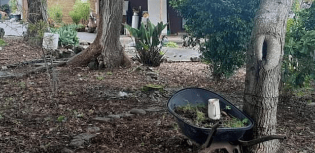 Weed control - Enquire now