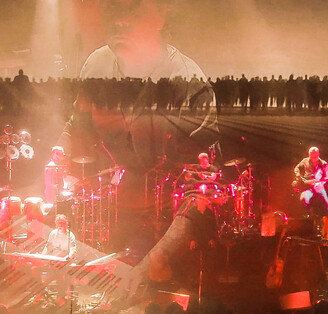 ANIMALS TOUR 2017 - Images by Jenny White