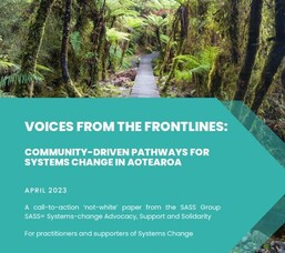 Voices from the Front-lines of Systems Change in Aotearoa