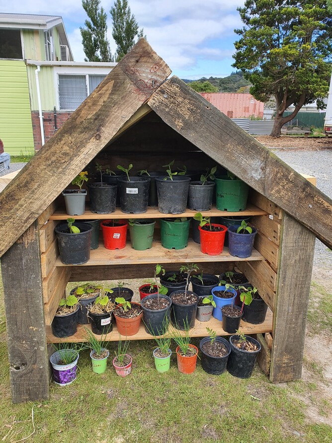 Working together to build food security in the Hutt Valley | Todd ...