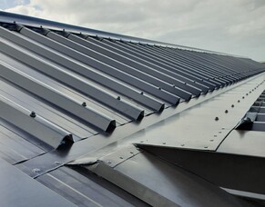 Choosing the Best Roofing Material for Your Te Awamutu Home