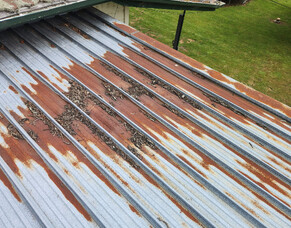 Why Replacing Your Old Roof in Hamilton Is Better Than Just Repairing It