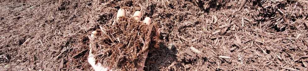 Brown Mulch