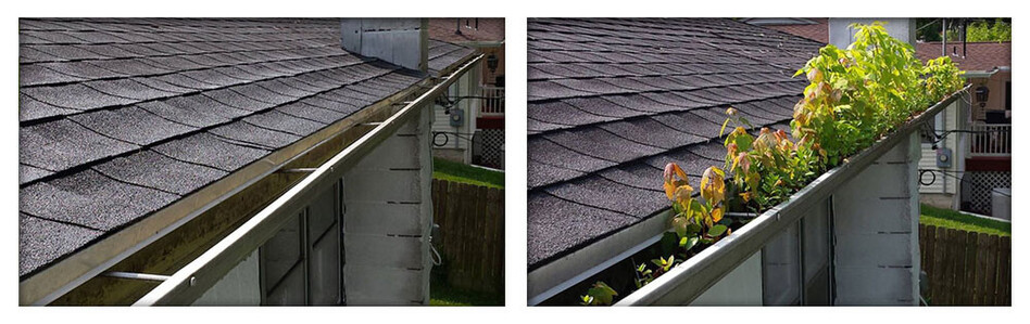 Gutter Cleans