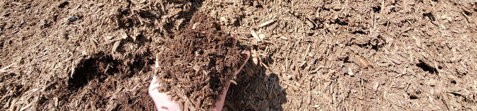 Natural Mulch