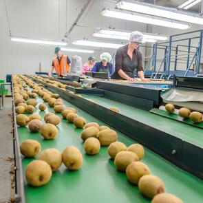 The Production Process