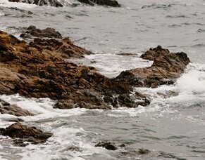 New Direction For Shelly Bay.