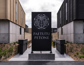 Ian&#039;s thoughts on the new District Plan for Wellington