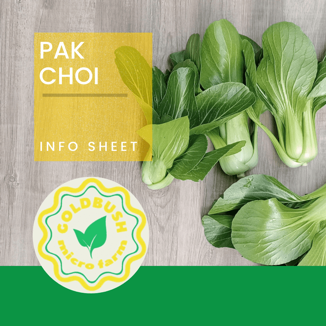 Click Picture To Download Full Info Sheet