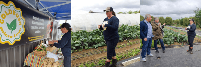 3 photos of Michelle, setting up table for sale, talking in garden and speaking with guests