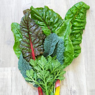 chard kale and shungiku bunch flat lay on wood