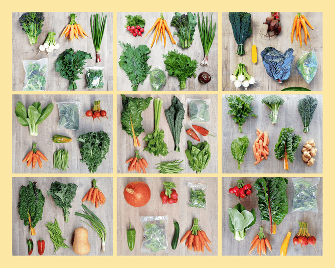 9 photo collage of vege boxes flat lay on wood