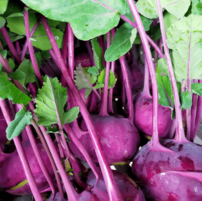 close up purple kohlrabi