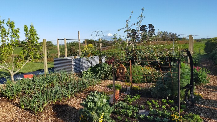 Productive Winter Garden