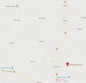 Map to Goldbush from Hawera