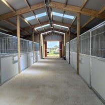 Horse Stable, Stable, Equine buildings, Barns, Horse Barns, stables Waikato, farm buildings, farm buildings waikato, sheds, sheds cambridge, sheds waikato, horse shelters, barn doors, waikato builders.