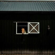 Stable shutters