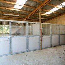 Horse Stable, Stable, Equine buildings, Barns, Horse Barns, stables Waikato, farm buildings, farm buildings waikato, sheds, sheds cambridge, sheds waikato, horse shelters, barn doors, waikato builders.stable box front