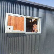 Horse Stable, Stable, Equine buildings, Barns, Horse Barns, stables Waikato, farm buildings, farm buildings waikato, sheds, sheds cambridge, sheds waikato, horse shelters, barn doors, waikato builders.
