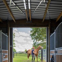 Horse Stable, Stable, Equine buildings, Barns, Horse Barns, stables Waikato, farm buildings, farm buildings waikato, sheds, sheds cambridge, sheds waikato, horse shelters, barn doors, waikato builders.horse barn