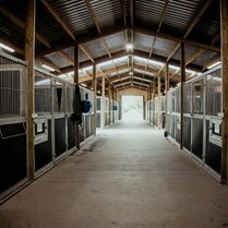 stable interior