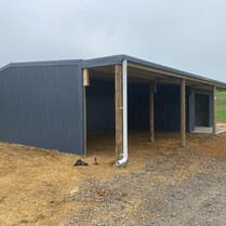 Horse Stable, Stable, Equine buildings, Barns, Horse Barns, stables Waikato, farm buildings, farm buildings waikato, sheds, sheds cambridge, sheds waikato, horse shelters, barn doors, waikato builders.breeding barn