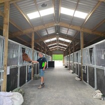 Horse Stable, Stable, Equine buildings, Barns, Horse Barns, stables Waikato, farm buildings, farm buildings waikato, sheds, sheds cambridge, sheds waikato, horse shelters, barn doors, waikato builders.