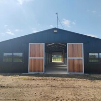 Horse Stable, Stable, Equine buildings, Barns, Horse Barns, stables Waikato, farm buildings, farm buildings waikato, sheds, sheds cambridge, sheds waikato, horse shelters, barn doors, waikato builders.