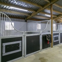 Horse Stable, Stable, Equine buildings, Barns, Horse Barns, stables Waikato, farm buildings, farm buildings waikato, sheds, sheds cambridge, sheds waikato, horse shelters, barn doors, waikato builders.