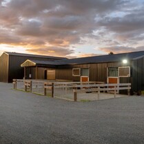 Horse Stable, Stable, Equine buildings, Barns, Horse Barns, stables Waikato, farm buildings, farm buildings waikato, sheds, sheds cambridge, sheds waikato, horse shelters, barn doors, waikato builders.