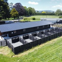 sHorse Stable, Stable, Equine buildings, Barns, Horse Barns, stables Waikato, farm buildings, farm buildings waikato, sheds, sheds cambridge, sheds waikato, horse shelters, barn doors, waikato builders.table with attached outside yards