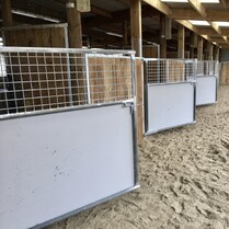 outside horse boxes