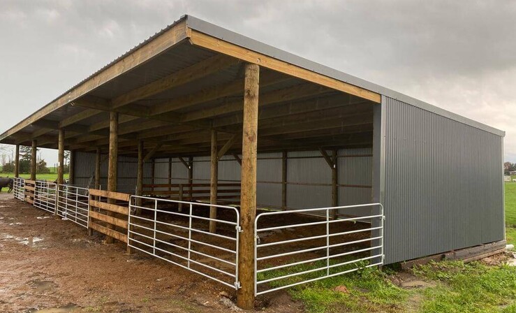 goat shed, farming building, pole shed, waikato shed, farm shed nz, build waikato, sheds nz