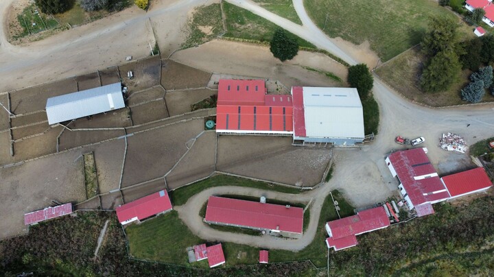 goat shed, farming building, pole shed, waikato shed, farm shed nz, build waikato, sheds nz