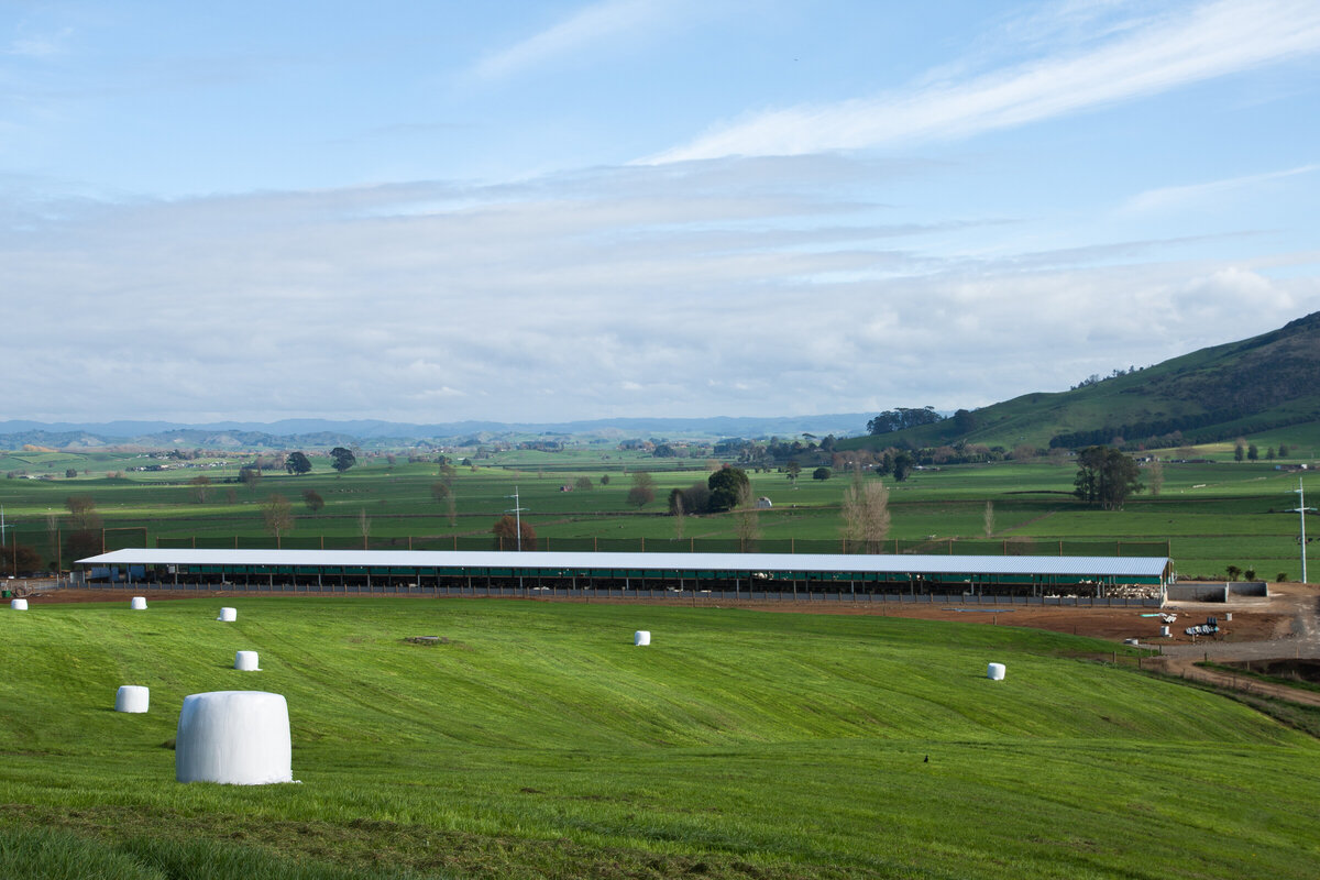 Rural Sheds Waikato | AgBuild Farm and Equine Building